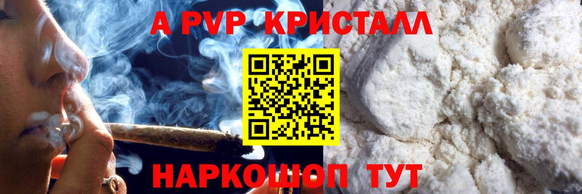 A PVP СК Сосновый Бор