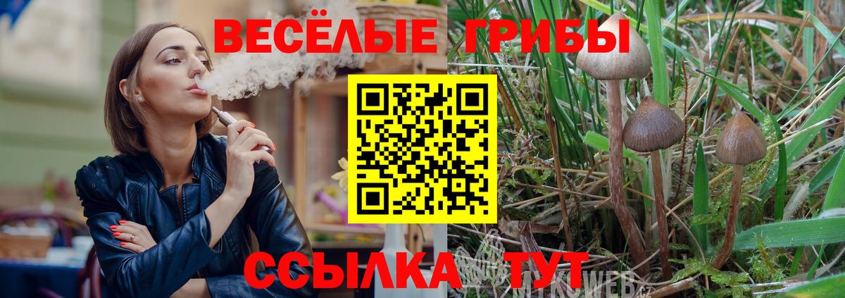 Псилоцибиновые грибы Psilocybe  Вход с VPN  Галлюциногенные грибы Magic Shrooms  Сосновый Бор 